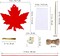 48 Sets, 12 Designs Colorful Magic Color Scratch Fall Leaves Ornament Decoration Autumn Scratch Art Leaves Fall Leaf Craft Kits for Kids Halloween Thanksgiving Classroom Activities: Party Favors